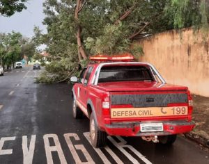 Chuva causa danos na rede elétrica e derruba 19 árvores em Londrina