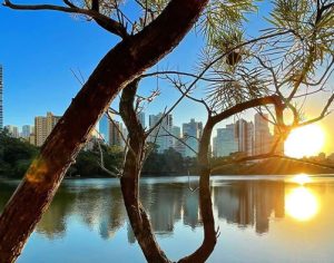 Linda imagem no Lago Igapó em Londrina