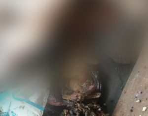 Bebê é encontrado dentro de saco de lixo em Jataizinho