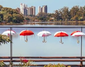 Guarda-chuvas ou sombrinhas? Lindo registro da nova ponte do Igapó