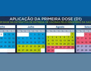 Paraná divulga calendário de vacinação anti-covid da população geral; veja