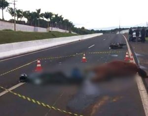 Motociclista morre após bater em cavalo na PR-445 em Londrina