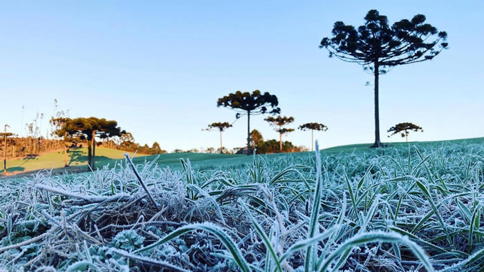 frio parana