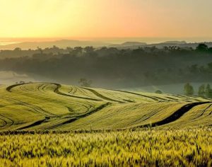 Linda imagem da área rural de Londrina