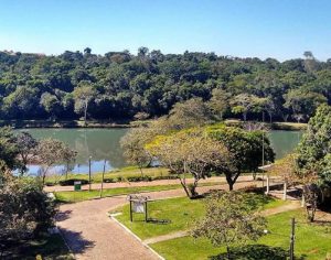 Parque Arthur Thomas será reaberto no início de dezembro; saiba mais