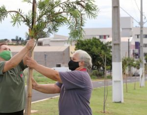 Sema planta quase 12 mil mudas de árvores em Londrina em 2021