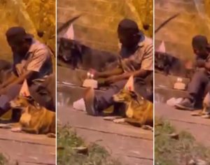 Vídeo: morador de rua canta parabéns com cachorros e emociona a web