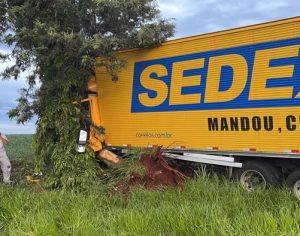 Motorista morre após bater contra árvore na região de Londrina