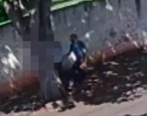 Menina de 13 anos é vítima de assédio sexual em Ibiporã; vídeo