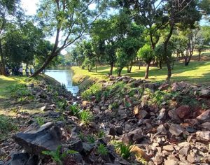 Revitalização da nascente do Lago Cabrinha é entregue