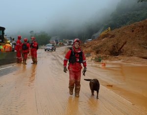 Equipes não encontram mais vítimas e encerram buscas na BR-376
