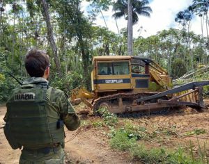 Ibama e PRF desmontam mais de 190 acampamentos na terra Yanomami