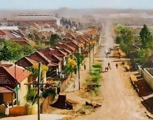 Imagem da Rua Bahia em Londrina na década de 1950 viraliza na internet