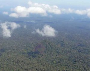 Quarto dia de buscas por avião mobiliza grande efetivo na Serra do Mar