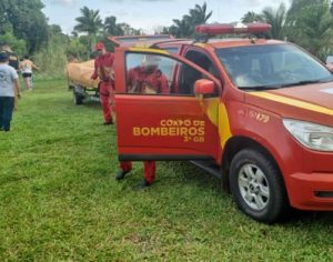Buscas por desaparecidos no Rio Paranapanema continuam