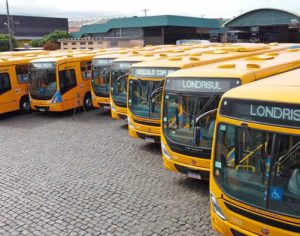 Londrina: CMTU divulga lista de linhas de ônibus reforçadas no domingo