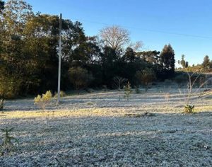 Cidade do Paraná registra 5 graus abaixo de zero nesta terça-feira