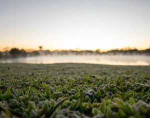 Frio intenso chega ao Paraná; veja a lista das cidades mais geladas