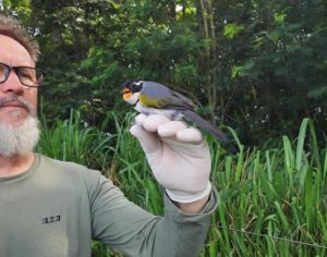 Itaipu e Itaipu Parquetec promovem inventário de aves