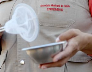 Saúde confirma mais 73 casos de dengue em Londrina; veja o boletim