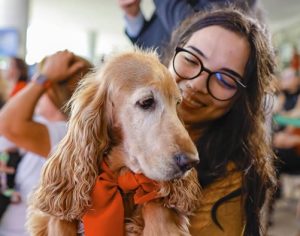 Saiba como funciona o novo programa de ‘RG Animal’ para cães e gatos