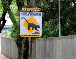 Sema divulga alerta sobre atropelamentos de animais em volta do Arthur Thomas