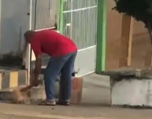 Vídeo: homem é preso após tentar matar cachorro a pauladas em Londrina