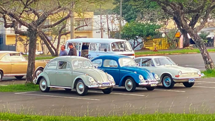dia mundial fusca
