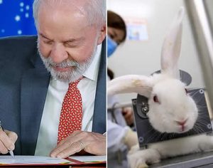 Lula sanciona lei que proíbe uso de animais em testes de cosméticos