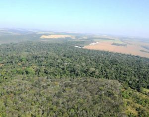 Parque Mata dos Godoy em Londrina será reaberto para visitantes