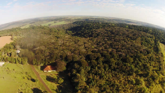 mata dos godoy londrina