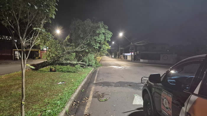 londrina temporal