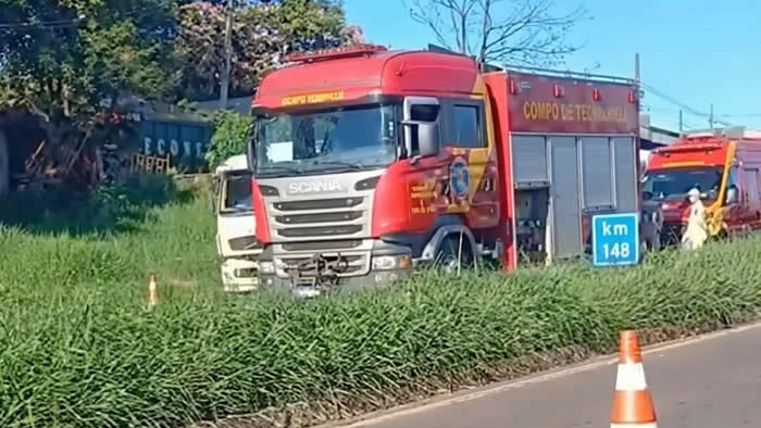 tragedia transito londrina