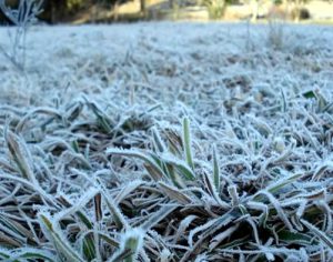 Dez cidades do Paraná entram alerta de geada do Inmet nesta quinta-feira