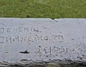 Cidade do Paraná registra temperatura abaixo de 0ºC nesta quinta; veja fotos