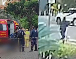 Idoso e cachorrinha morrem atropelados por carro em Londrina