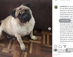 Casal é preso por extorsão ao exigir dinheiro por cachorro desaparecido