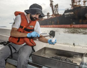 Portos paranaenses têm melhor índice de desenvolvimento ambiental do Brasil